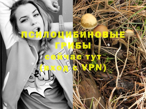 бутират Корсаков